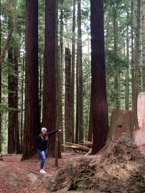 Image of a young woman walking through the Redwood Forest. Five activities to do with your kids.